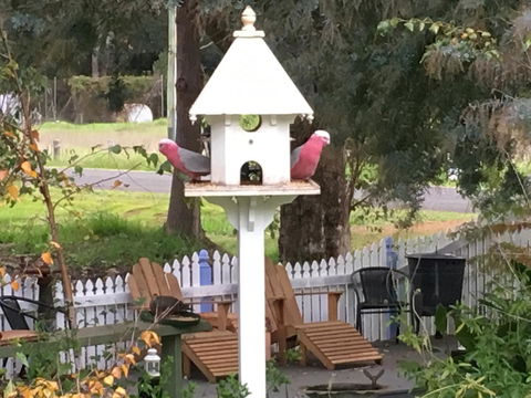 Applegate Lane Chalet - Tweed Heads Accommodation 25