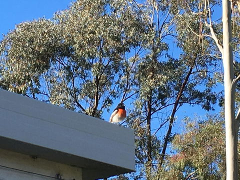 Applegate Lane Chalet - Tweed Heads Accommodation 27