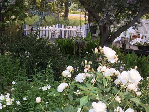 Applegate Lane Chalet - Tweed Heads Accommodation 22