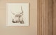 Margaret River Retreat - thumb 32