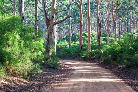 Margaret River Retreat - Tweed Heads Accommodation 20