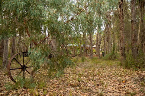 Denmark Forest Retreat - Tweed Heads Accommodation 5