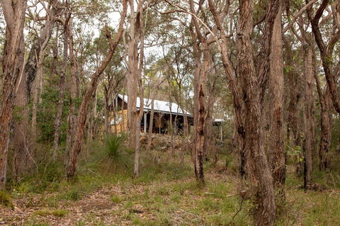 Denmark Forest Retreat - Tweed Heads Accommodation 27
