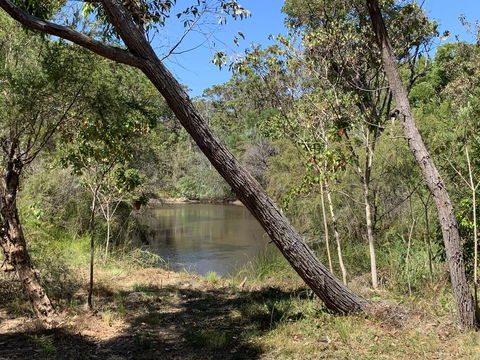 Denmark Forest Retreat - Tweed Heads Accommodation 32
