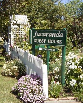 Jacaranda Guest House - Tweed Heads Accommodation 43