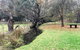 Historic Oakhill House Entire Estate - thumb 18