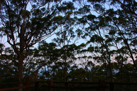 Ark Of Denmark - Tweed Heads Accommodation 27
