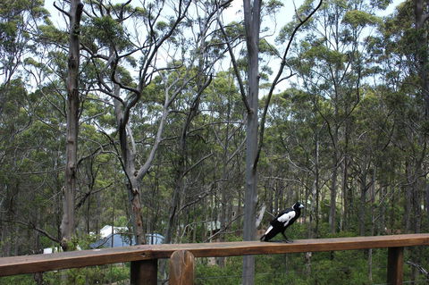 Ark Of Denmark - Tweed Heads Accommodation 11