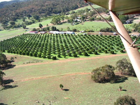 Bindoon's Windmill Farm - Tweed Heads Accommodation 3