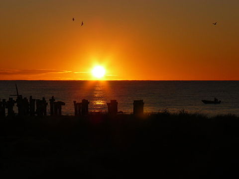 Jurien Bay Tourist Park - Tweed Heads Accommodation 28
