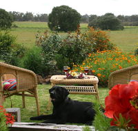 Silversprings cottages - Tweed Heads Accommodation