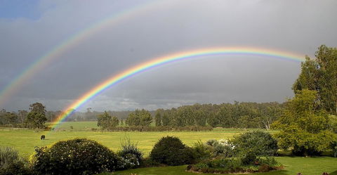 SilverSprings Spa Retreat Pet Friendly Cottages And Glampings - Tweed Heads Accommodation 19