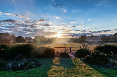 SilverSprings Spa Retreat Pet Friendly Cottages And Glampings - Tweed Heads Accommodation 26