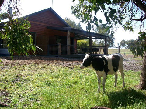 SilverSprings Spa Retreat Pet Friendly Cottages And Glampings - Tweed Heads Accommodation 23