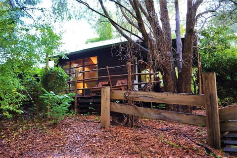 Black Cockatoo Lodge - Tweed Heads Accommodation 4