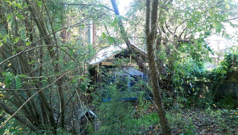 Black Cockatoo Lodge - Tweed Heads Accommodation 22