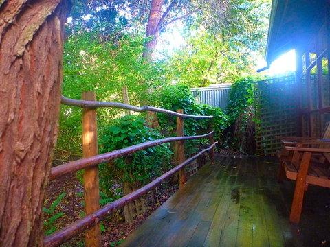 Black Cockatoo Lodge - Tweed Heads Accommodation 21