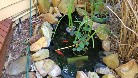 Black Cockatoo Lodge - Tweed Heads Accommodation 29