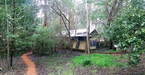 Black Cockatoo Lodge - Tweed Heads Accommodation 10