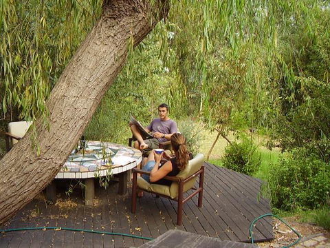 Black Cockatoo Lodge - Tweed Heads Accommodation 35