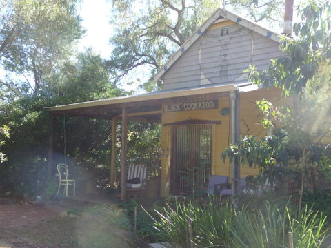 Black Cockatoo Lodge - Tweed Heads Accommodation 0