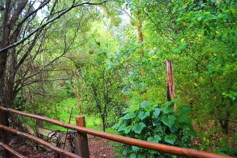 Black Cockatoo Lodge - Tweed Heads Accommodation 28