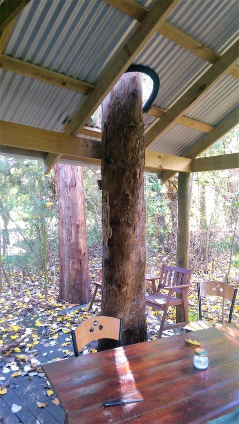 Black Cockatoo Lodge - Tweed Heads Accommodation 19