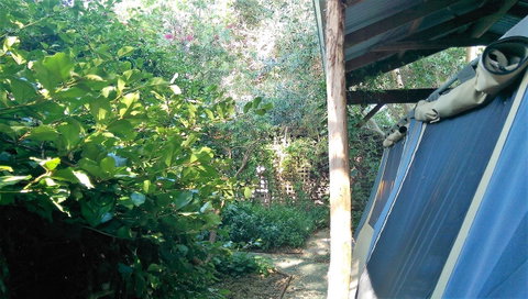 Black Cockatoo Lodge - Tweed Heads Accommodation 12