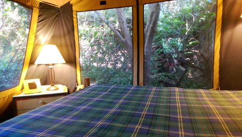 Black Cockatoo Lodge - Tweed Heads Accommodation 16