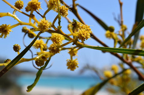 Eagle Bay House - Tweed Heads Accommodation 12