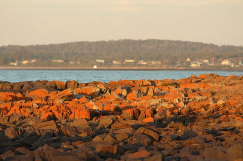 Tamar Solar Home - Tweed Heads Accommodation 16