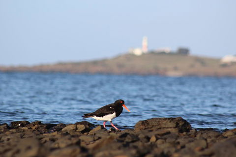 Tamar Solar Home - Tweed Heads Accommodation 3