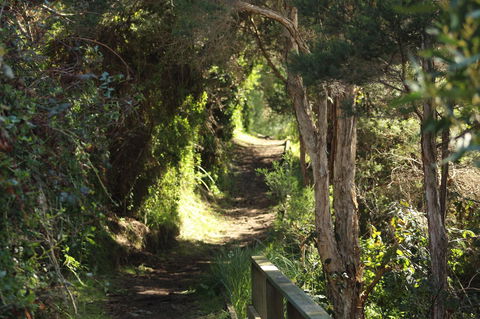 Tamar Solar Home - Tweed Heads Accommodation 15