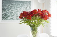 Book Kingston Beach Accommodation Vacations Tweed Heads Accommodation Tweed Heads Accommodation
