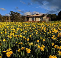 Mountain Blue Guest House - Tweed Heads Accommodation