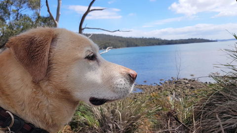 Four Seasons Waterfront Villas - Tweed Heads Accommodation 35