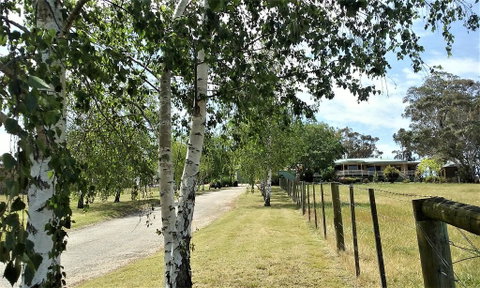 Nicholson BnB And Arts Centre - Tweed Heads Accommodation 0