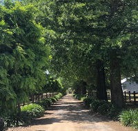 Oak Lane Guest House  Farm Stay - Tweed Heads Accommodation