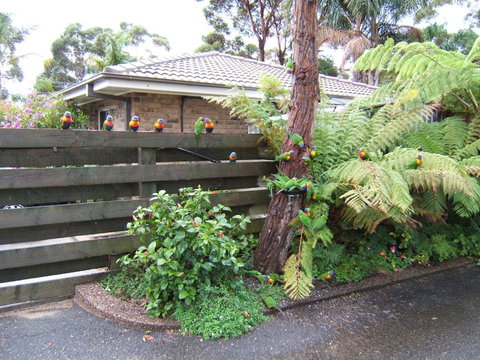 Ocean Drive Apartments - Tweed Heads Accommodation 3