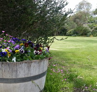 Padthaway Caravan Park - Tweed Heads Accommodation