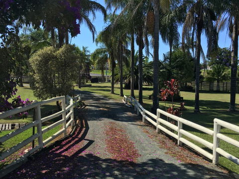 Palms Oasis Motel - Tweed Heads Accommodation 3