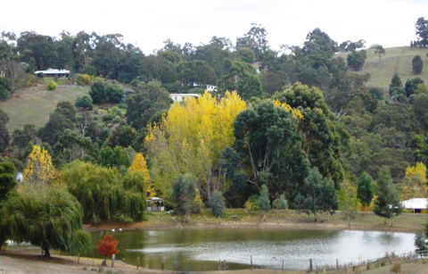 Pamelas Retreat - Tweed Heads Accommodation 3