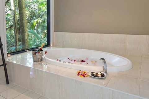 Pethers Rainforest Retreat - Tweed Heads Accommodation 2