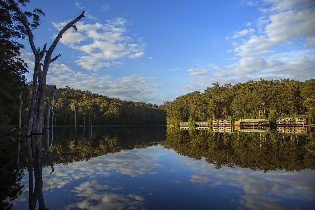 Beedelup WA Tweed Heads Accommodation
