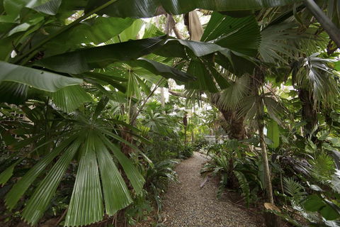 Rainforest Castaways Resort And Spa - Tweed Heads Accommodation 1