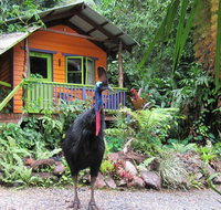 Rainforest Hideaway - Tweed Heads Accommodation