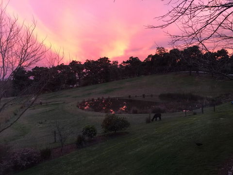 Raynella Alpaca Farmstay - Tweed Heads Accommodation 1