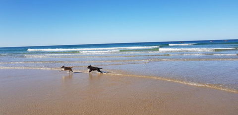 Red Door Beach House - Marcoola Beach - PET FRIENDLY, FOXTEL, WIFI, 500 BOND, Linen Supplied - Tweed Heads Accommodation 1
