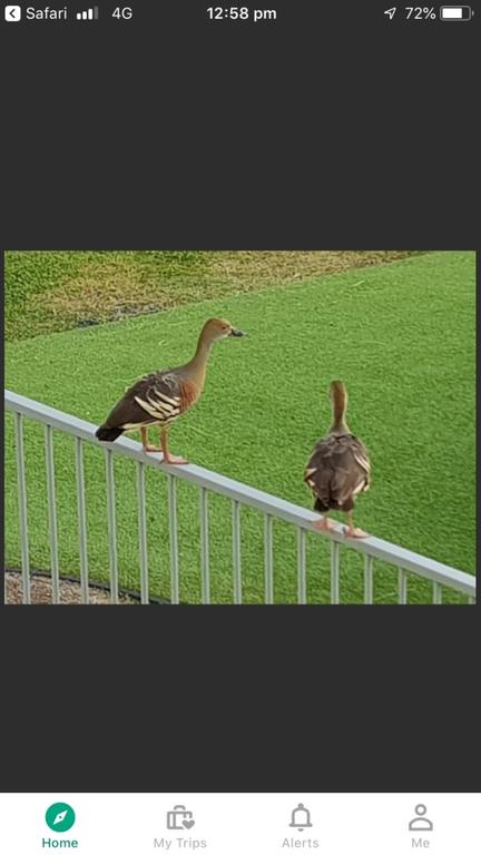 Resort Living - Tweed Heads Accommodation 3