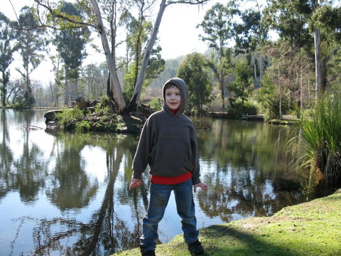 RiverCottage-selfcontained - Tweed Heads Accommodation 2